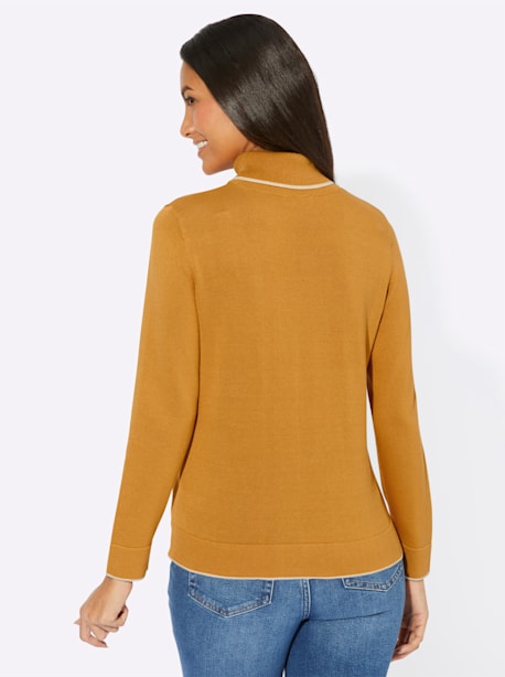 Pull à col roulé 55% coton