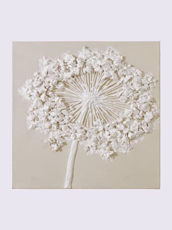 Peinture originale pour mettre vos murs en valeur - helline home - blanc