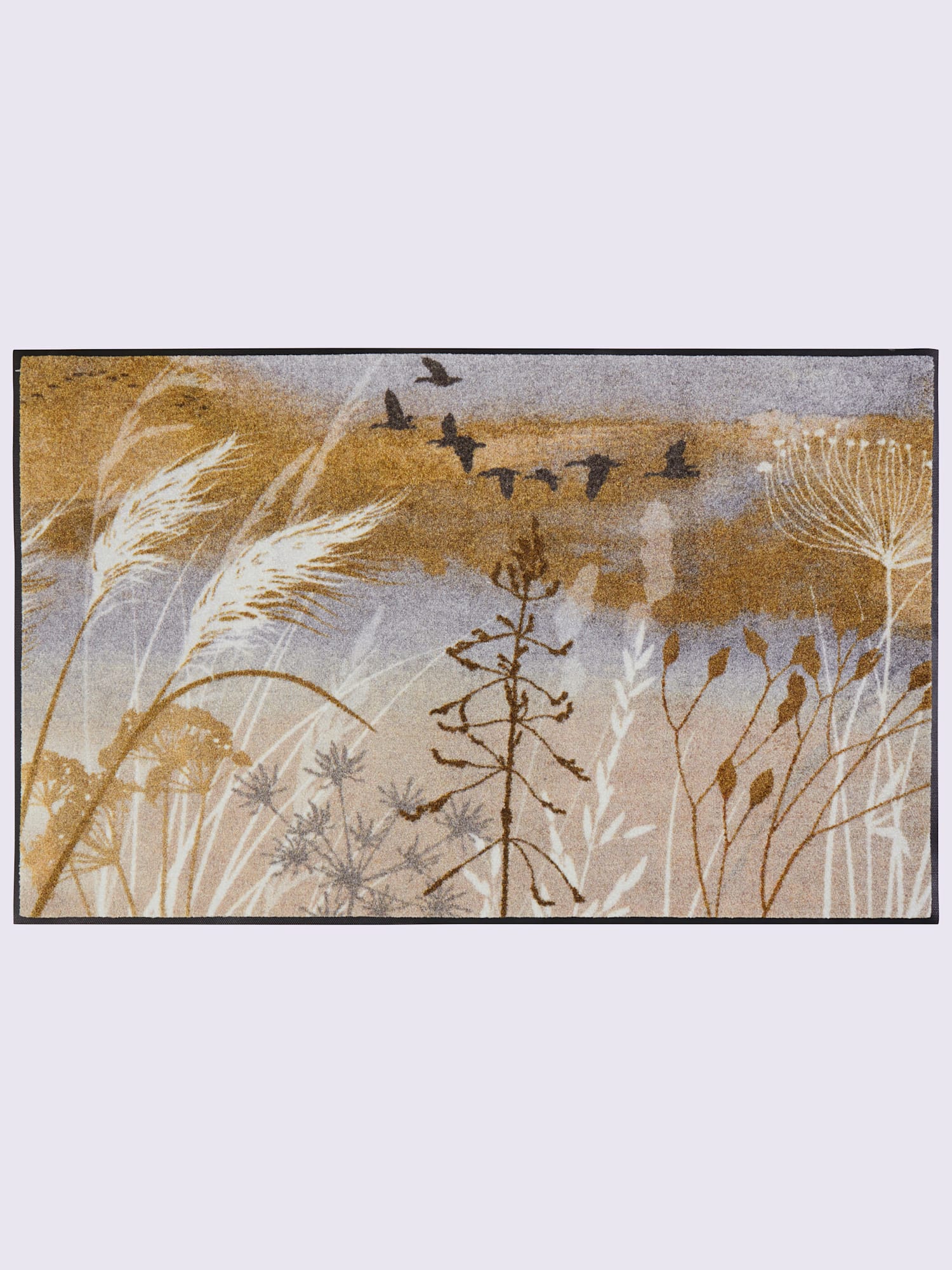 Paillasson pour intérieur et zone extérieure couverte, couleur couleur ivoire, taille 60x180 cm, marque helline home - helline