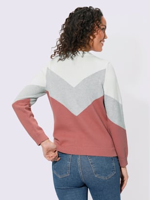 Pull pur coton