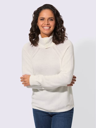 Pull à col roulé 50% laine