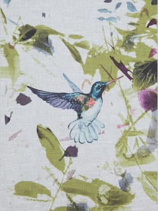 Store décoratif, motif colibri