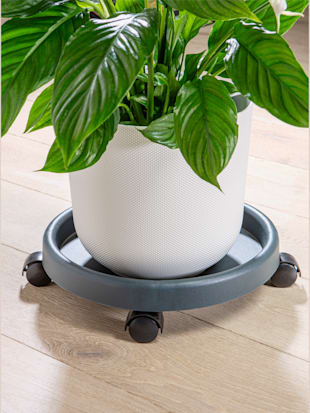 Support pour plantes facile à déplacer grâce aux rouleaux en plastique (Image 2)