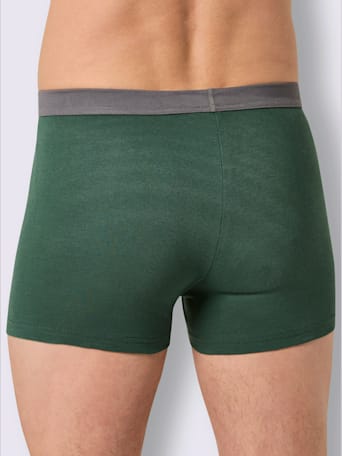 Image 4