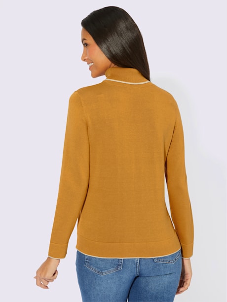 Pull à col roulé 55% coton
