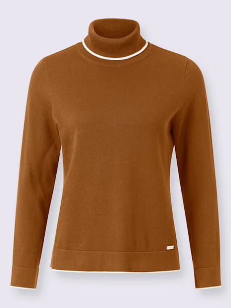 Pull à col roulé 55% coton