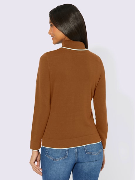 Pull à col roulé 55% coton