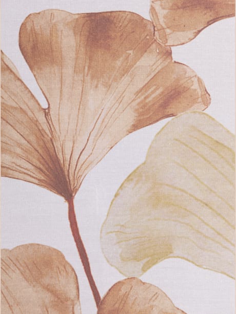  (Image 2)