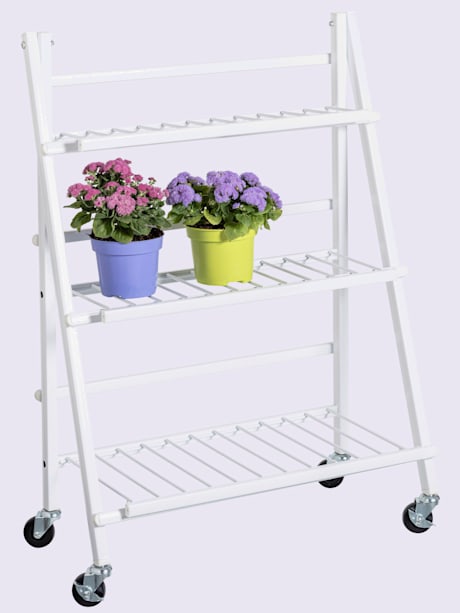 Étagère escalier stable pour fleurs et herbes aromatiques